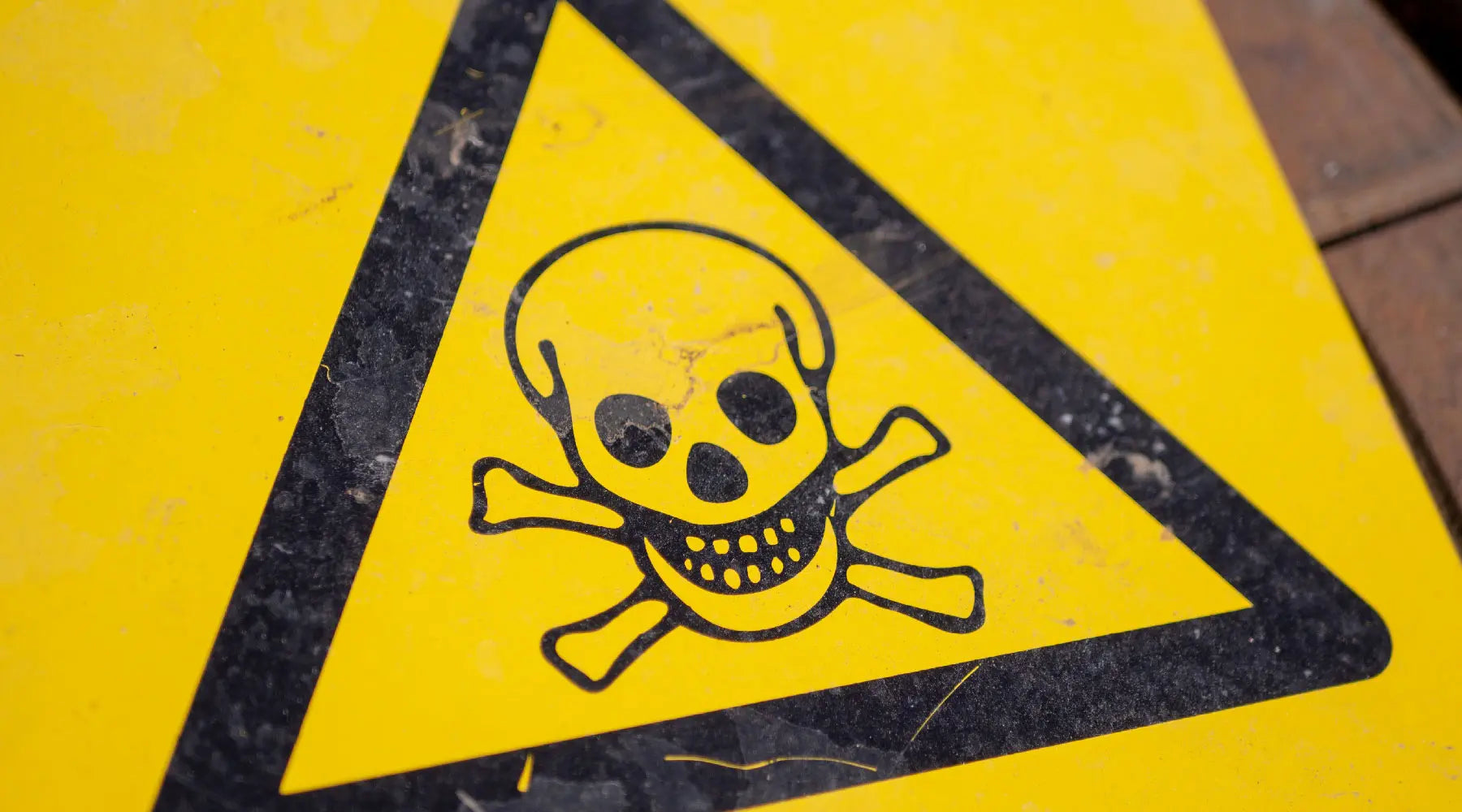 Hazard sign the skull for toxic material