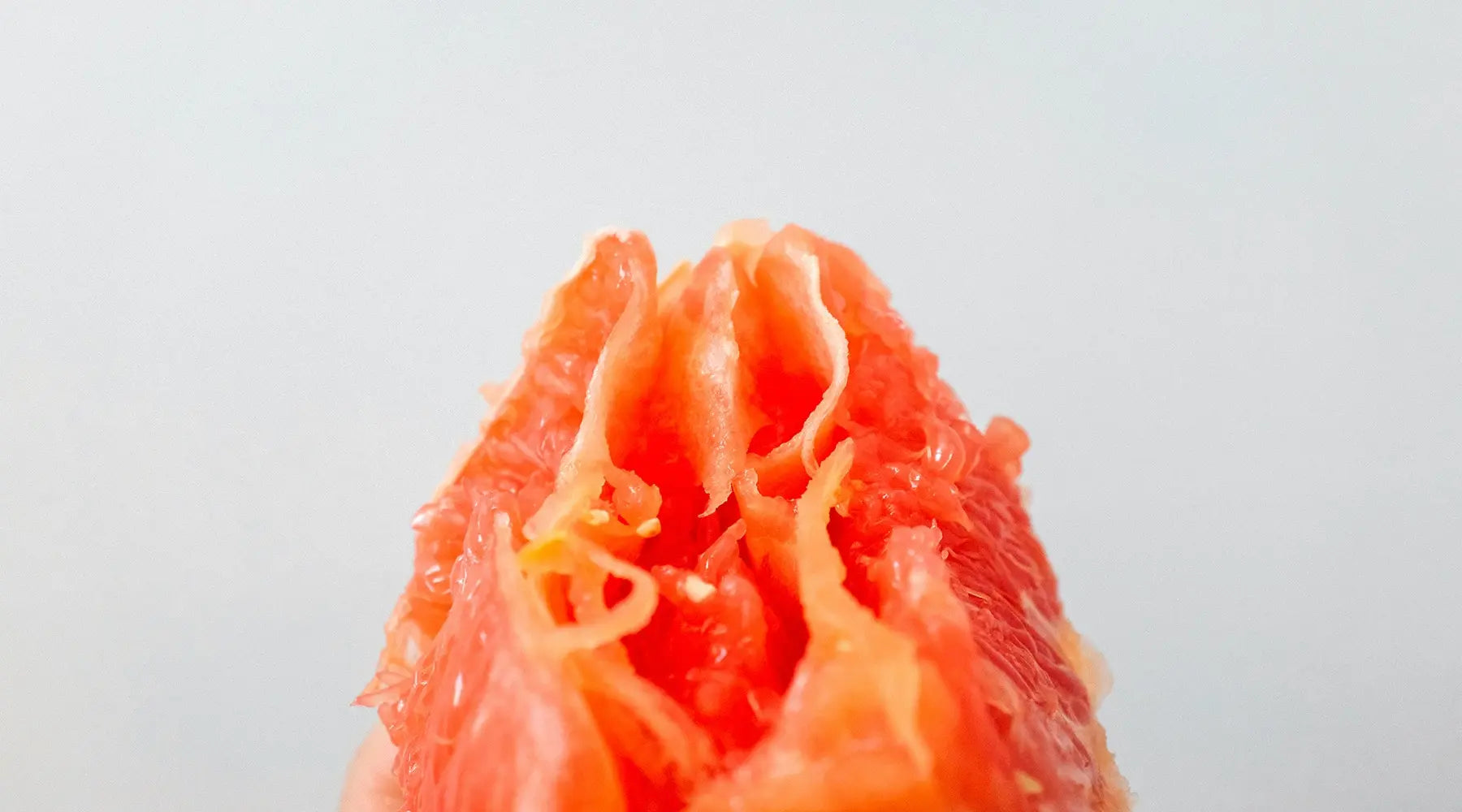 The Vulva & Vagina Explained